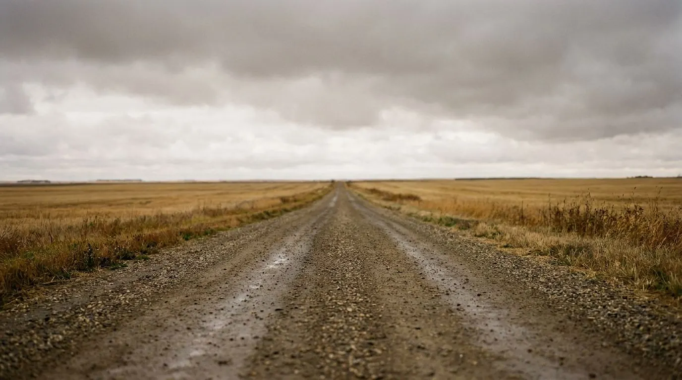 Level Alberta cropland crossed by a straight gravel grid road that runs out to the horizon.
